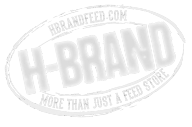 H Brand Feed logo